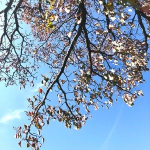 Meet your Posher, Hosiap